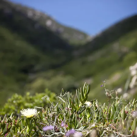 Convento Sao Saturnino Коларес